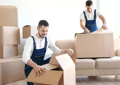 Professional Packers and Movers in London